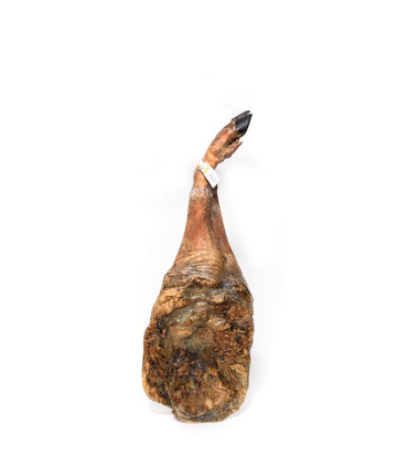 50% cebo umăr Ibérica Segovia