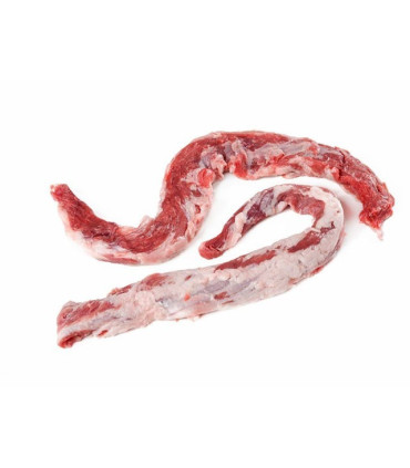 Lucertola iberica
