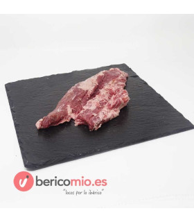 Pluma ibérica 2
