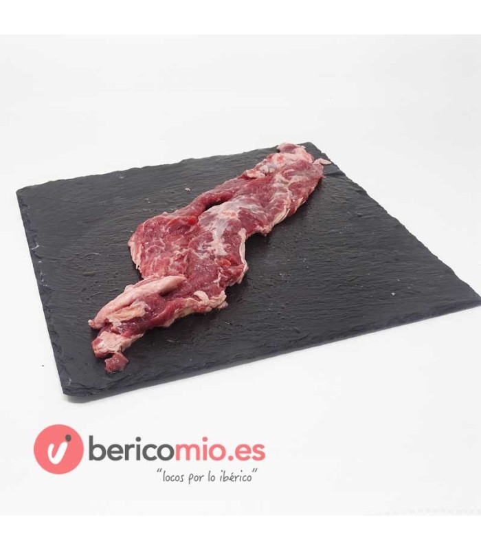 șopârlă ibérico