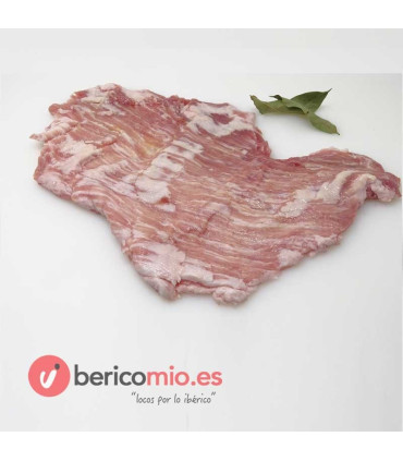 Secreto barriguera ibérico