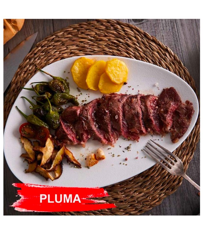 pluma ibérica de bellota
