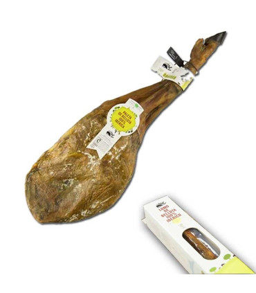 Lotto bellota 100% Ibérico