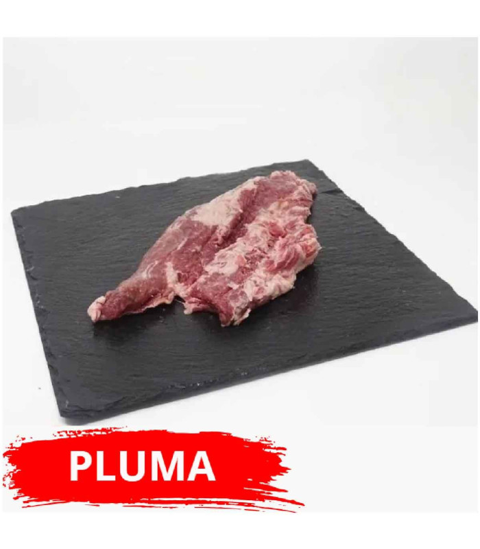 bellota ibérica penna