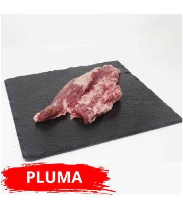 bellota ibérica penna