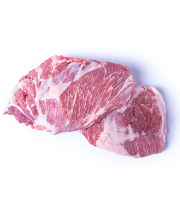 Diga ibérica