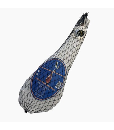 Paleta Selezione