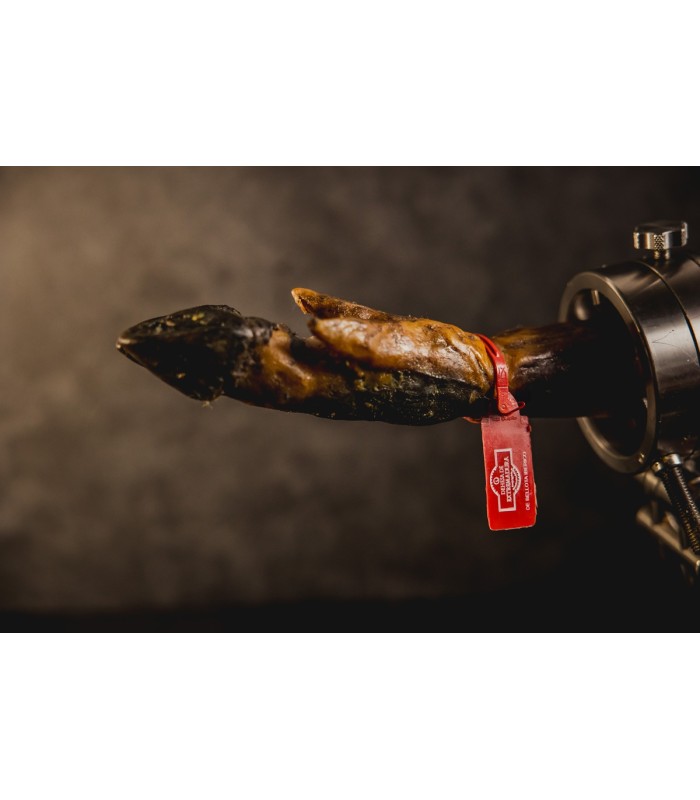Jamón De Bellota 75% raça ibérico D.O.P DEHESA DE EXTREMADURA Maextre - Presunto Pata Negra - - 3