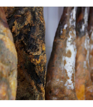 copy of Jamón Fuera de Norma - Cárdeno - Extremadura - 4